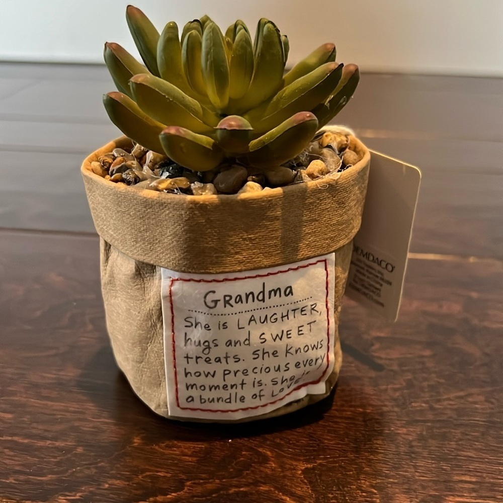 Grandma faux succulent plant